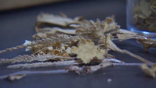 Erzurum’da kadınlara tıbbi, aromatik ve endemik bitkiler eğitimi